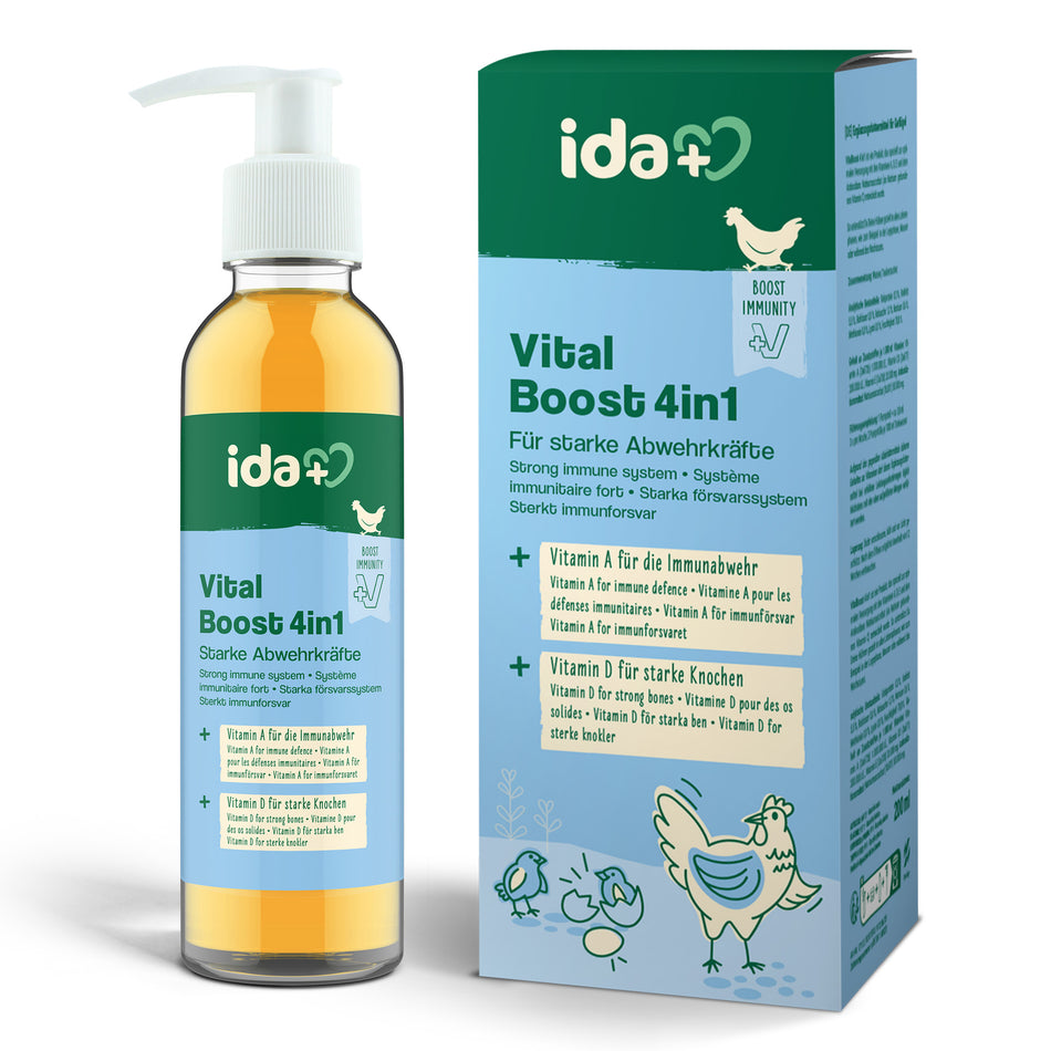 Vitalboost 4in1 – für starke Abwehrkräfte