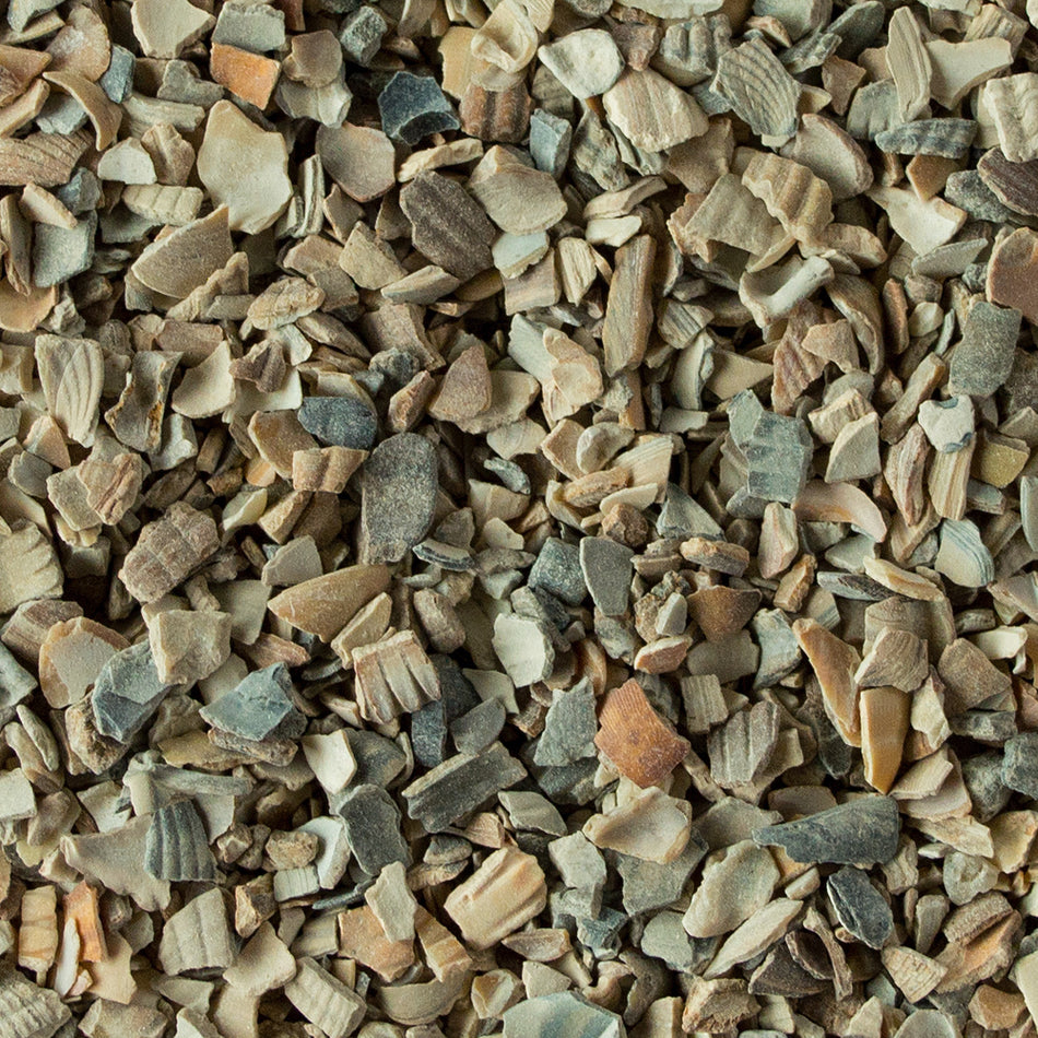 Muschelkalk 2 kg für eine gesunde Verdauung