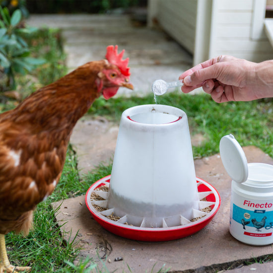 Finecto+ ORAL - Verändert den Körpergeruch, unattraktiv für Milben & Co.