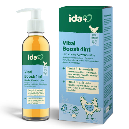 Vitalboost 4in1 – für starke Abwehrkräfte