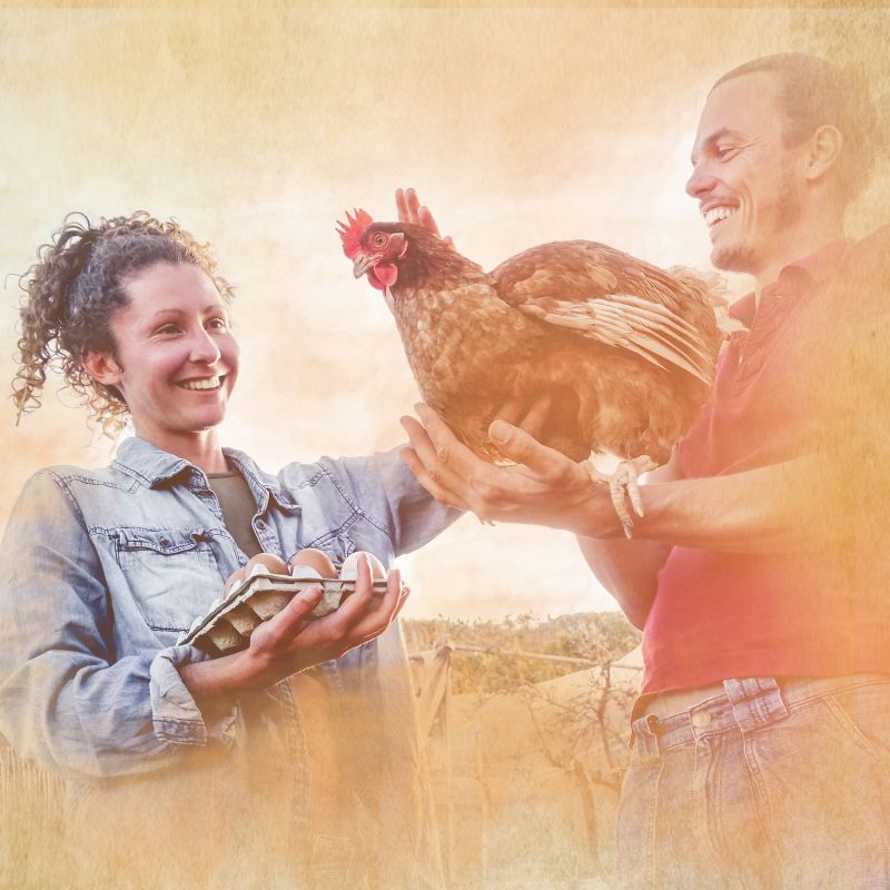 MiteProtect - zur Immunstärkung nach Milbenbefall