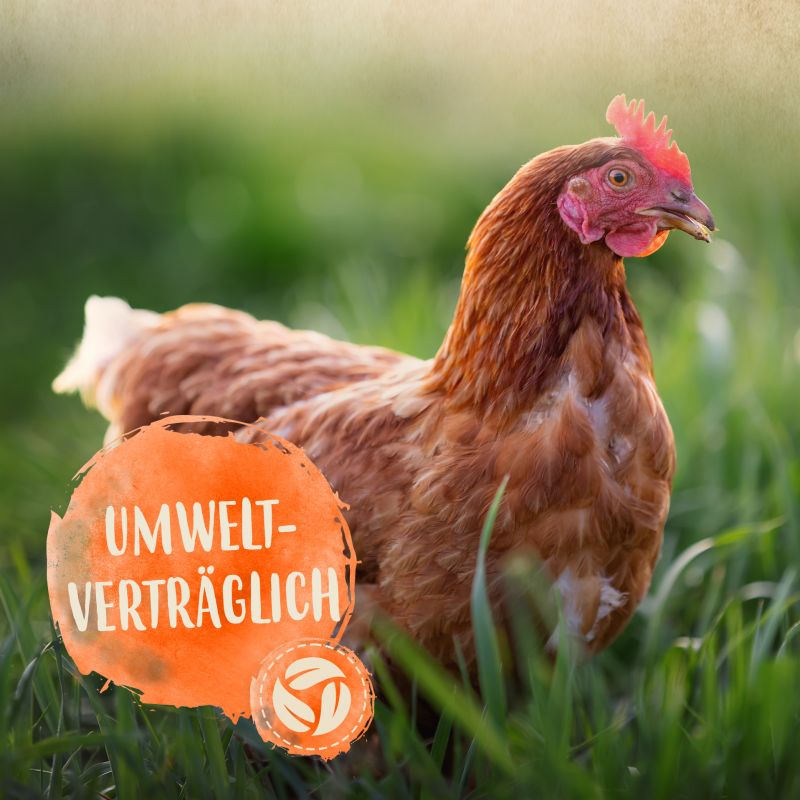 MiteCleaner - Milbenspray gegen rote Vogelmilben