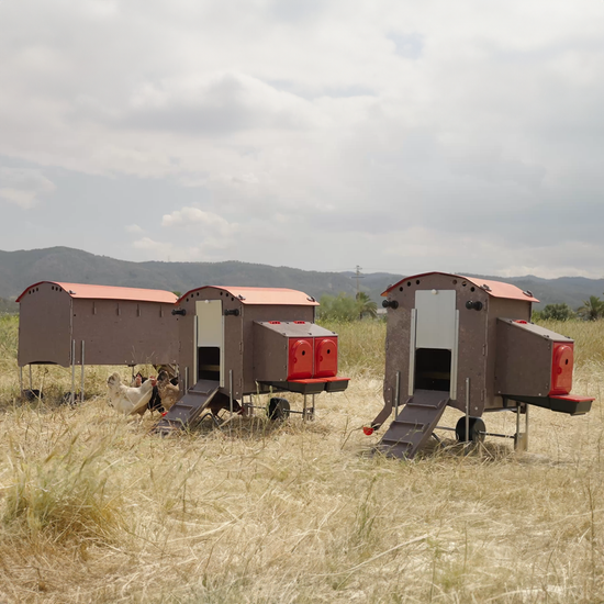 CluckMobil MEDI - Hühnerstall inkl. Zubehör für 5 Hühner