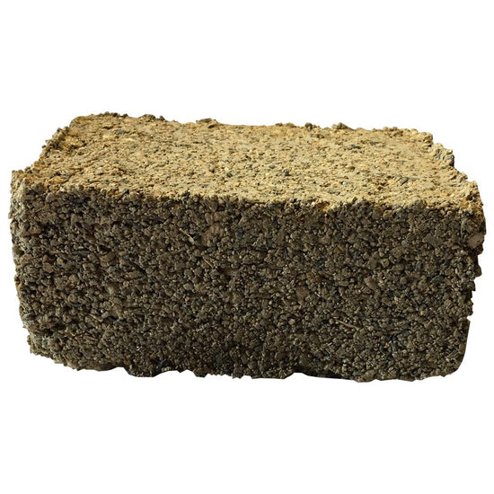 Carbon Stein - Zur Bindung von Giftstoffen