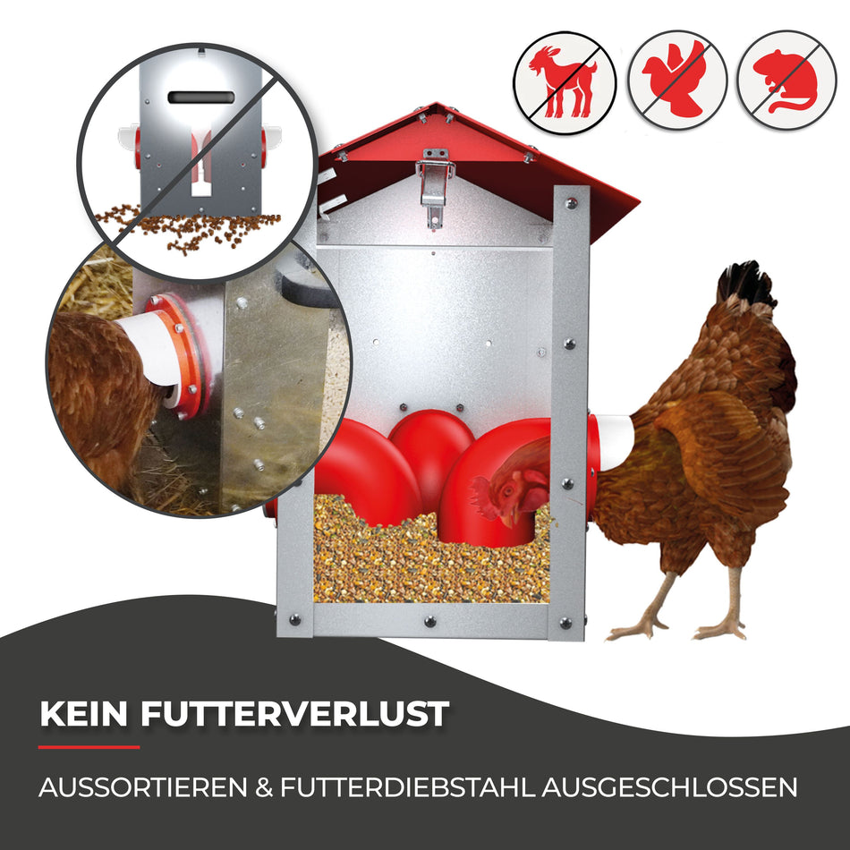 Futterautomat für Hühner - CLUCK-O-MATIC® für bis zu 20 Hühner