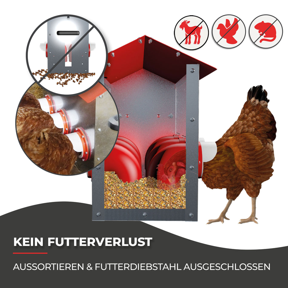 Futterautomat für Hühner - CLUCK-O-MATIC® für bis zu 45 Hühner