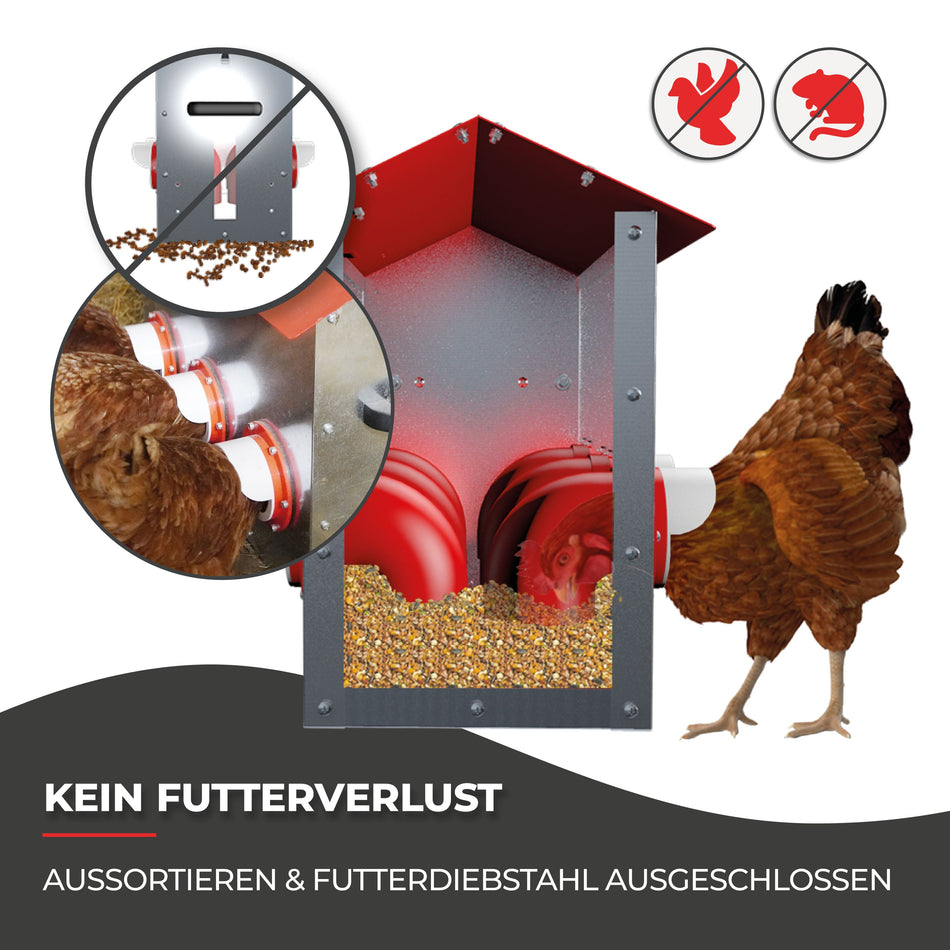 Futterautomat für Hühner - CLUCK-O-MATIC® für bis zu 45 Hühner