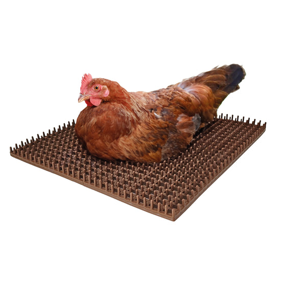 6 Stück - Nestmatten "Ei-Phoria" für Legenester