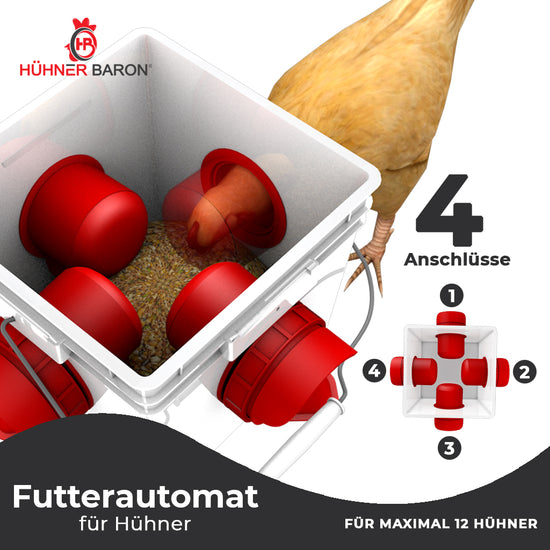 Futterautomat Max und Hühnertränke Moritz - je 8 L