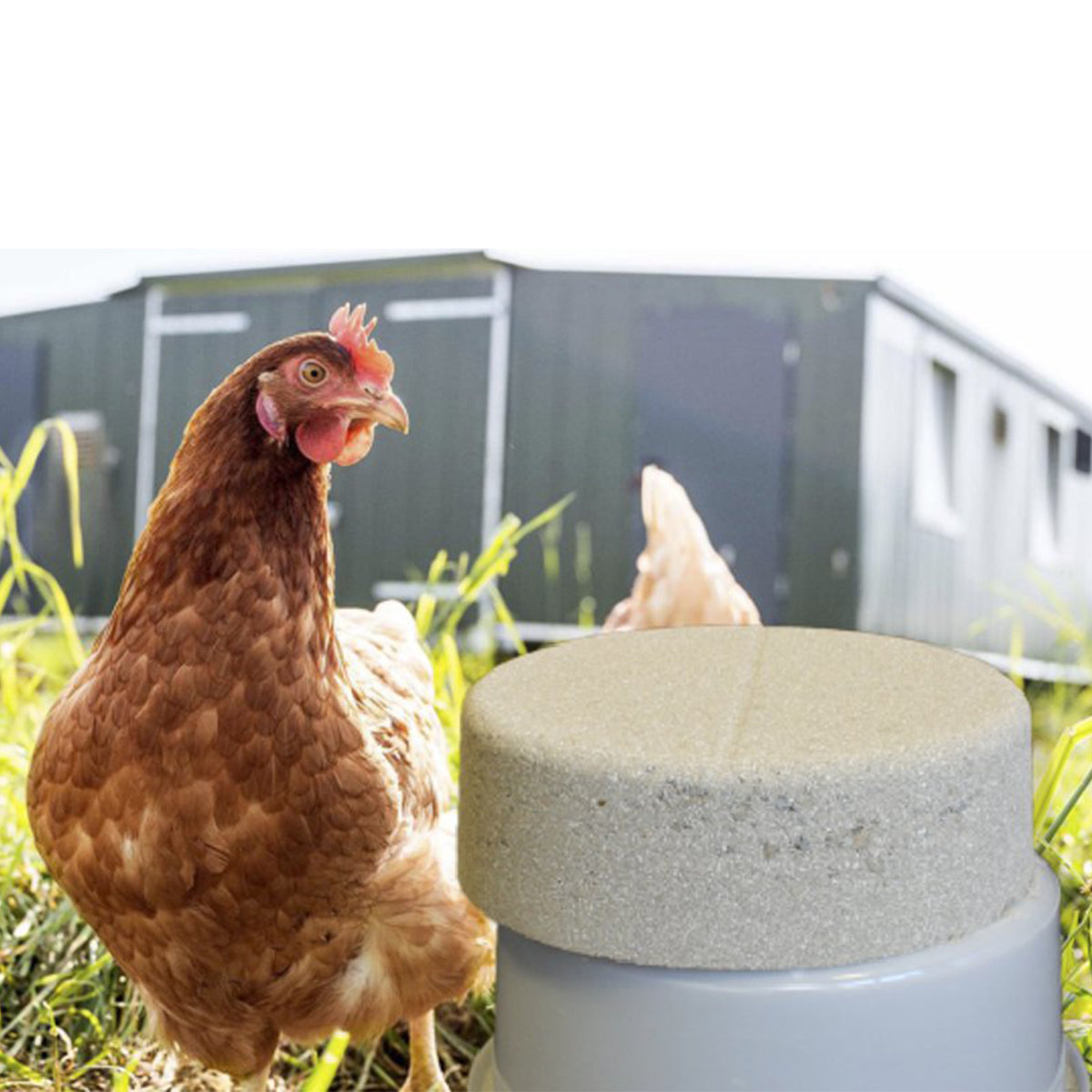 Pickstein mit MeidArom®, biotauglich, für natürliches Pickverhalten & Stressabbau