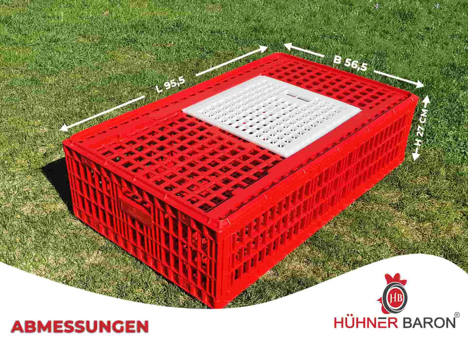 Geflügel Transportbox mit Abmessungen von Hühnerbaron.