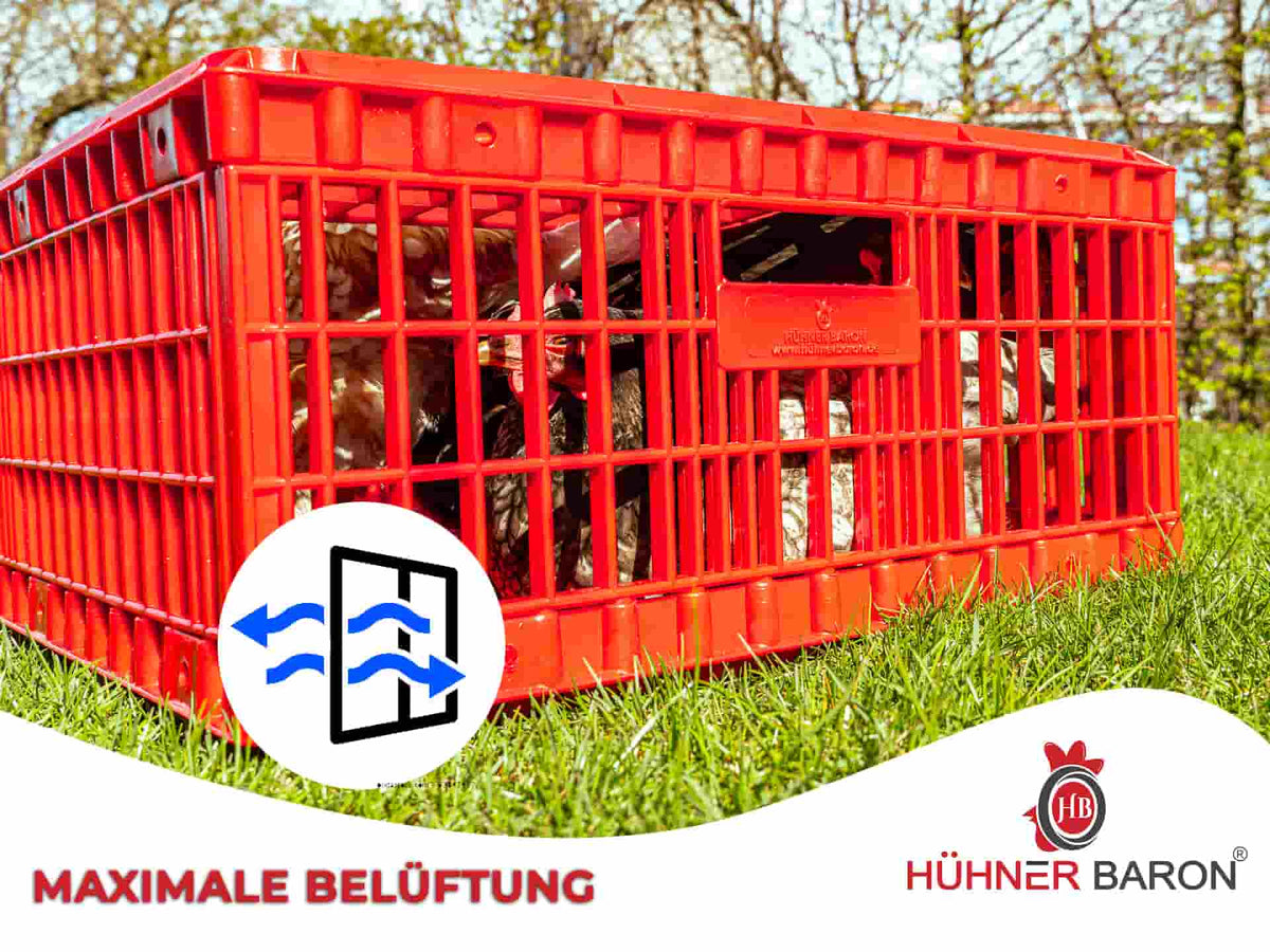 Geflügel Transportbox und maximale Belüftung von Hühnerbaron.