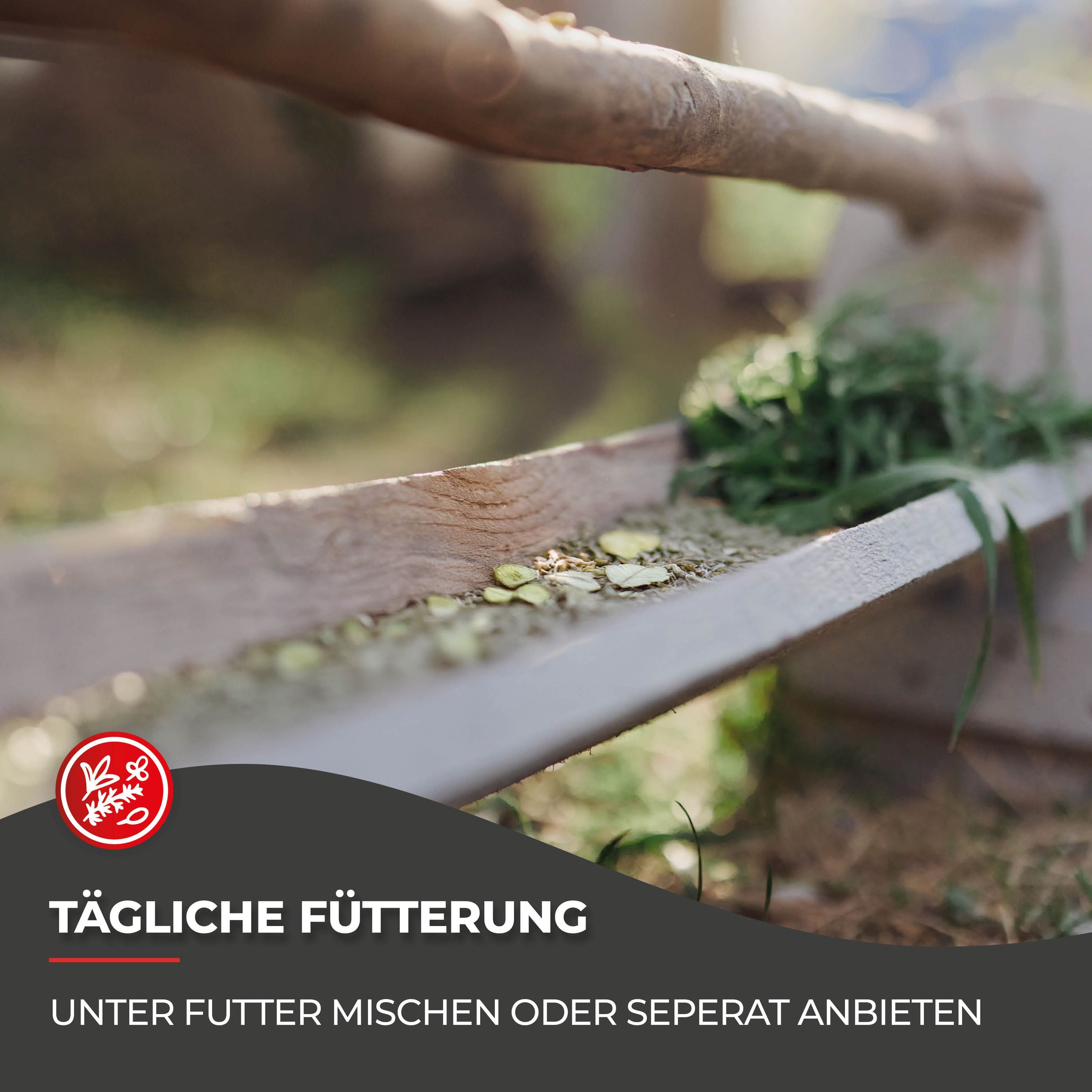 Gemüse für Hühner: 250 g Gemüsegarten für optimale Gesundheit