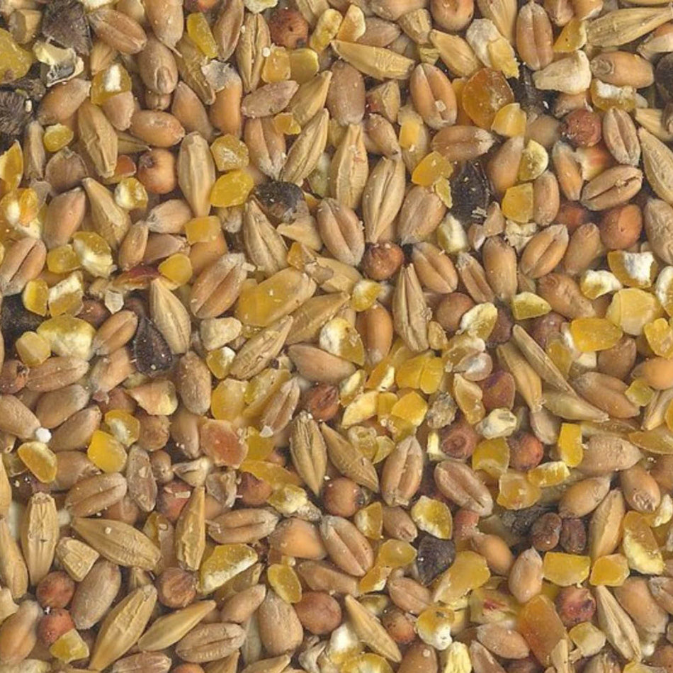 Scharrel-Graan Körnerfutter (GVO Frei) 25 kg Ergänzungsfutter