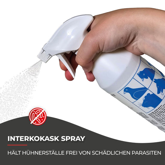 Kokzidien Hühner Medikament: 500 ml Spray gegen Endoparasiten