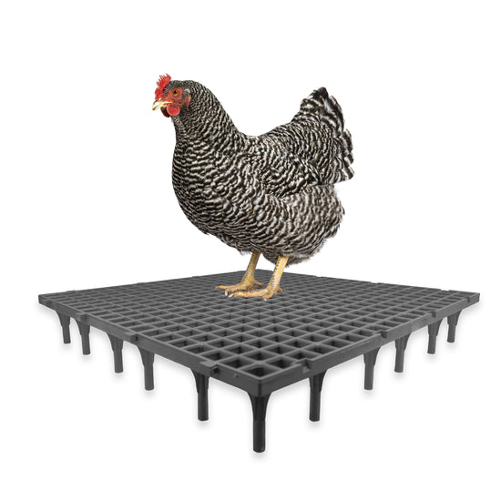 Bodenrost HYGIESTEP - in zwei Größen erhältlich