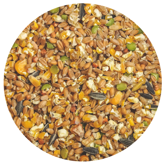 Hühner Körnerfutter GOURMET - ohne Gentechnik - aus deutschem Anbau