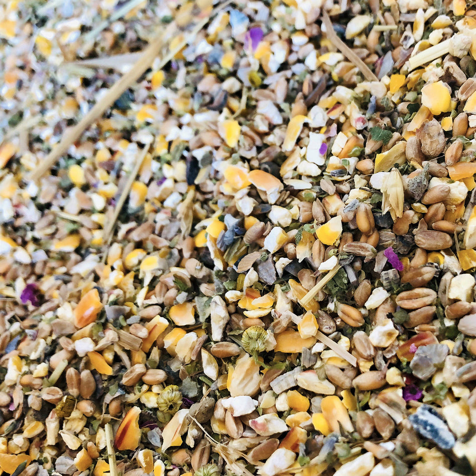 Bio Hühnerfutter Lebensfreude 2kg, mit Bio-Kräutern