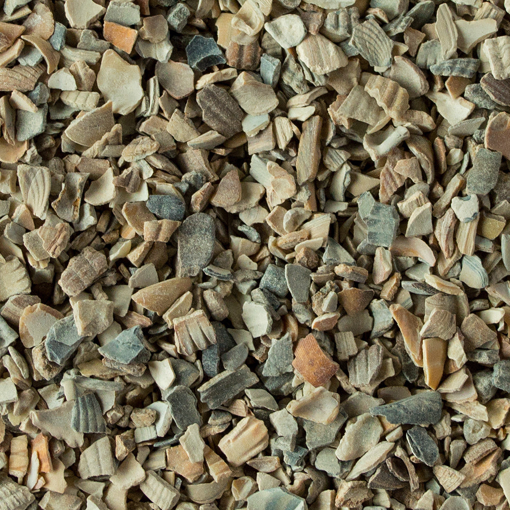 Muschelkalk 2 kg für eine gesunde Verdauung