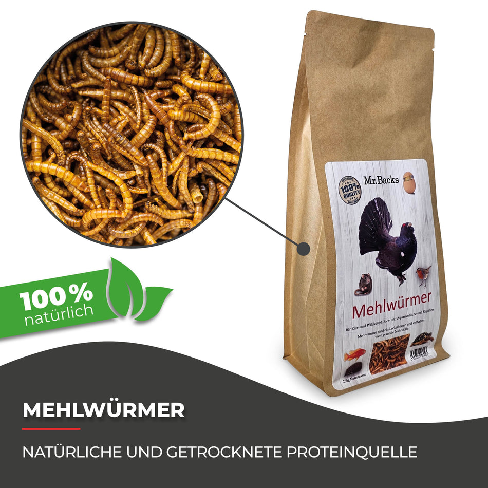 Mehlwürmer für Hühner: 250 g, 500 g, 1000 g, 5000 g Proteinreiche Leckerli