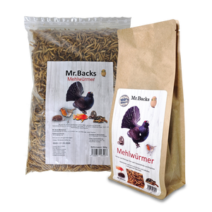 Mehlwürmer für Hühner: 250 g, 500 g, 1000 g, 5000 g Proteinreiche Leckerli
