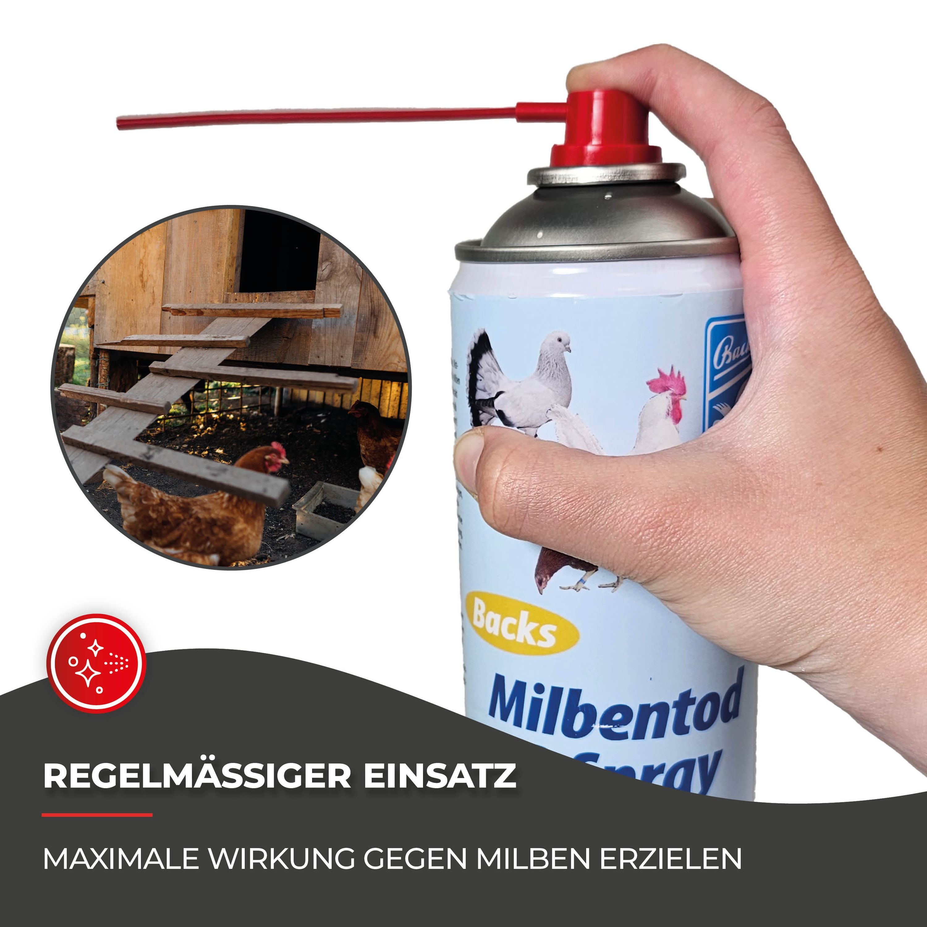 Milben bei Hühner bekämpfen: 500 ml Milbentod SD Spray