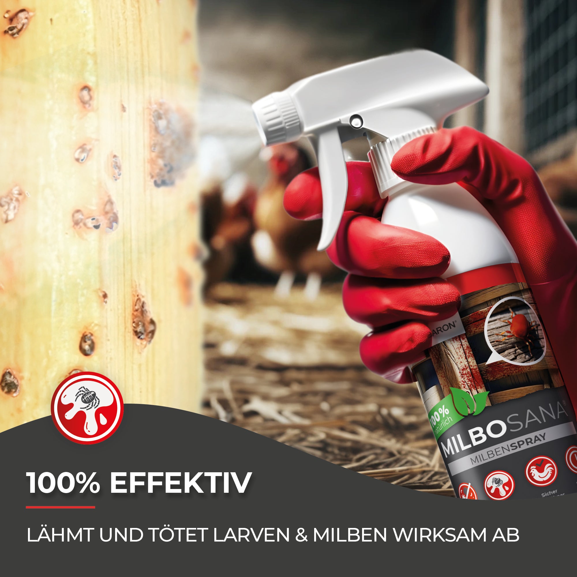 Hühnermilben bekämpfen mit Milbosana® Milbenspray in 500ml und 20L