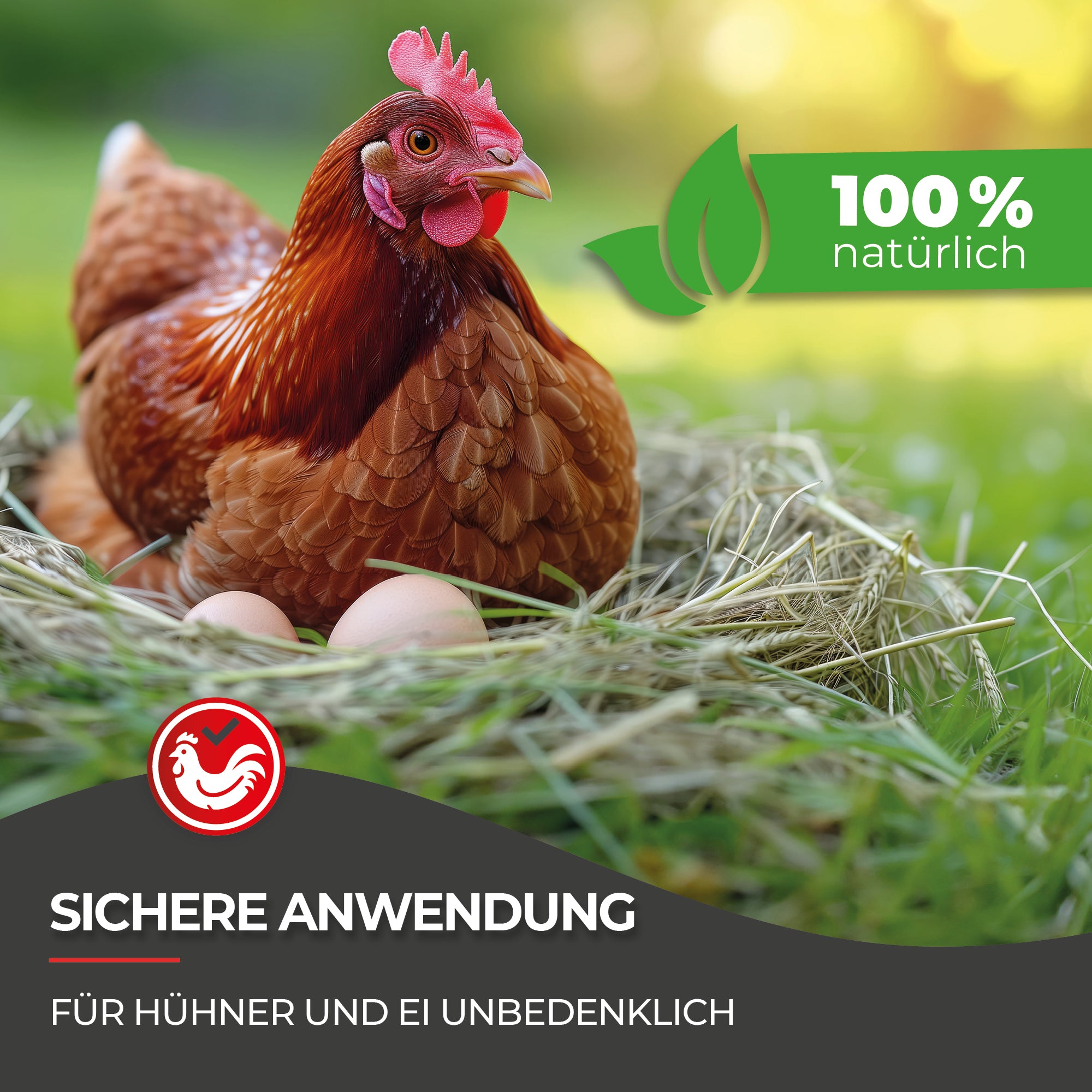 Hühnermilben bekämpfen mit Milbosana® Konzentrat 250 ml