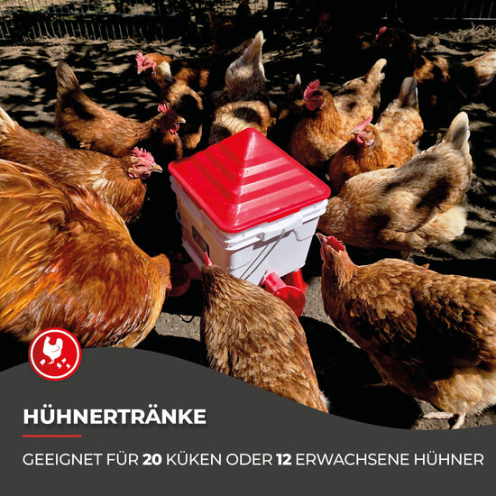 Hühnertränke (4 Anschlüsse) "Moritz" 8 Liter
