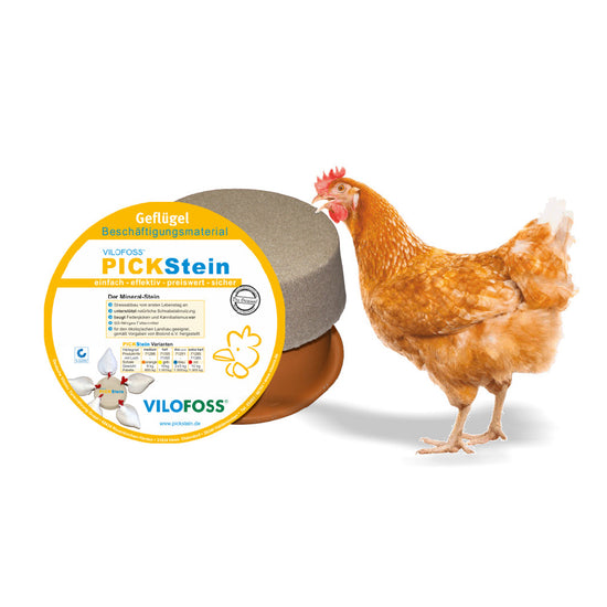 Pickstein medium 10 kg, biotauglich, für natürliches Pickverhalten & Stressabbau für Küken & junge Tiere