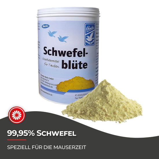 Proteine für Hühner: 600 g Schwefelblüte für die Mauserzeit