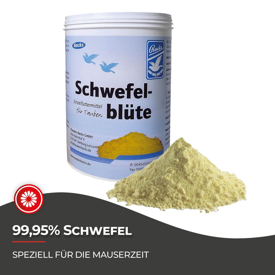 Proteine für Hühner: 600 g Schwefelblüte für die Mauserzeit