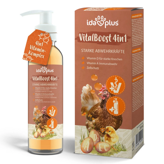Vitalboost 4in1 – für starke Abwehrkräfte
