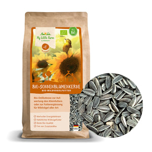 Bio Sonnenblumenkerne 10 kg