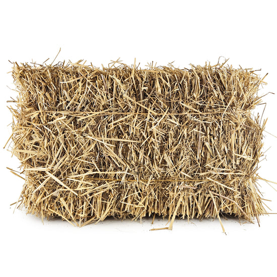Strohballen ca. 7 kg - Bio-Stroh im Karton
