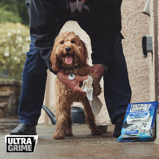 Pet Care - XXL Premium Feuchtreinigungstücher für Haustiere, mit Vitamin E und Aloeextrakt