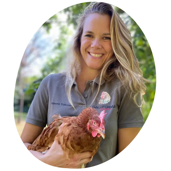 Notfall-Videoberatung für Hühner ab 19:00 Uhr sowie an Wochenenden und Feiertagen