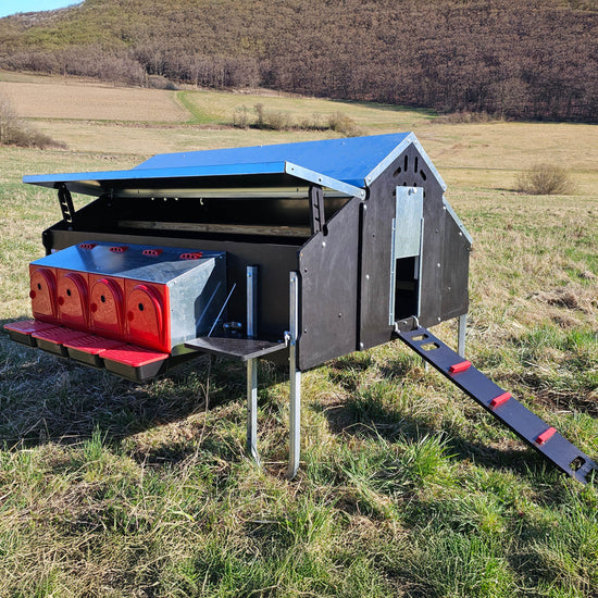 Hühnerstall 1,6 x 1,9 m - für bis zu 30 Hühner