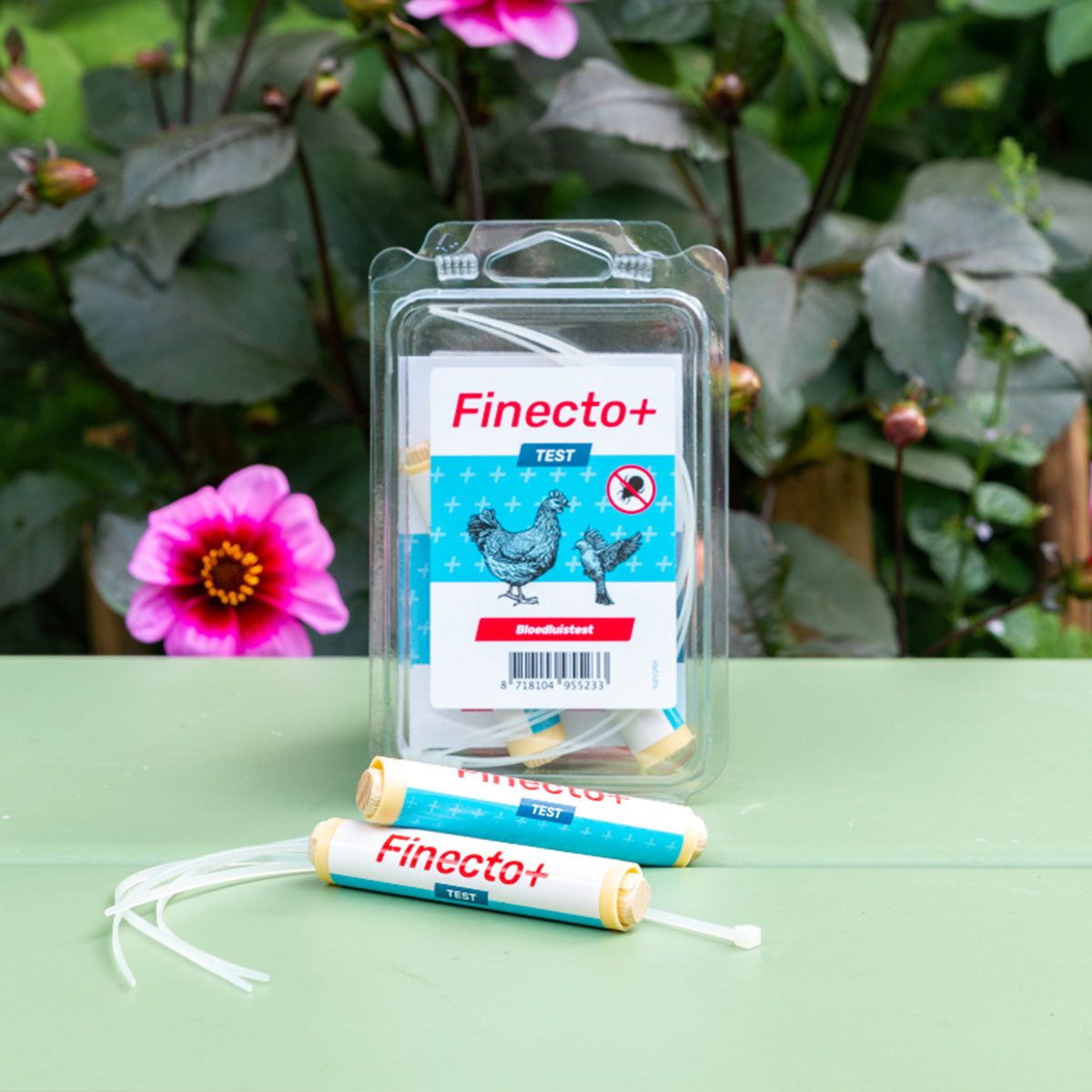 Finecto+ MILBEN TEST - tägliche Überprüfung von Milben im Hühnerstall