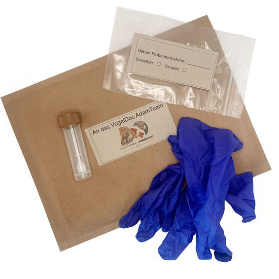 Kotprobenuntersuchung vom Tierarzt inkl. Probenmaterial