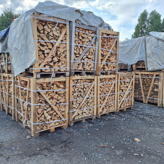 Brennholz Buche Scheitlänge 25 cm kammergetrocknet 1 RM