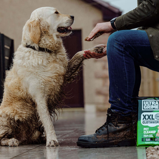 Pet Care - XXL Premium Feuchtreinigungstücher für Haustiere, mit Vitamin E und Aloeextrakt