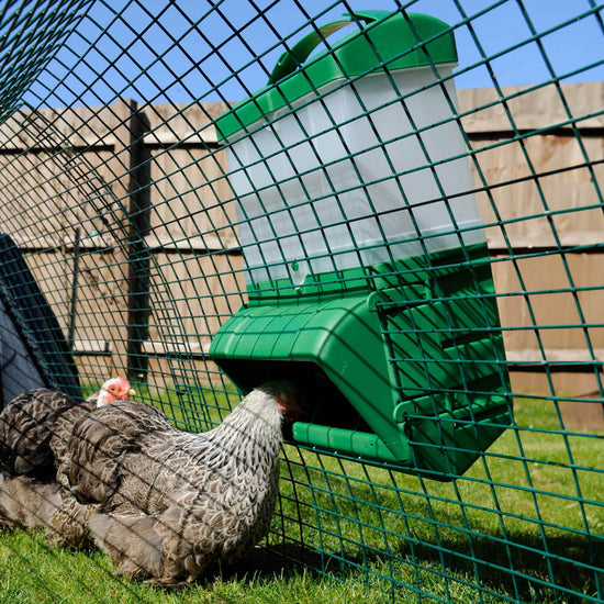 Käfig-Futterautomat CLUCKY für Hühner 10 kg – inkl. Erweiterungssilo & Wandhalterung